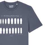 Skateboard Evolution T Shirt